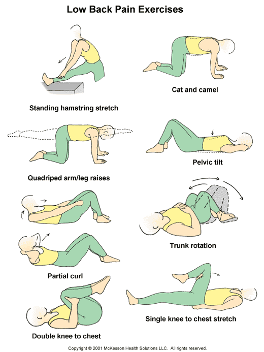 Premier Care Pediatrics Patient Information: Low Back Pain Exercises