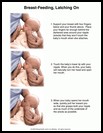 Thumbnail image of: Breast-Feeding, Latching on: Illustration