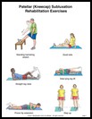 Thumbnail image of: Kneecap Subluxation Exercises, Page 1: Illustration
