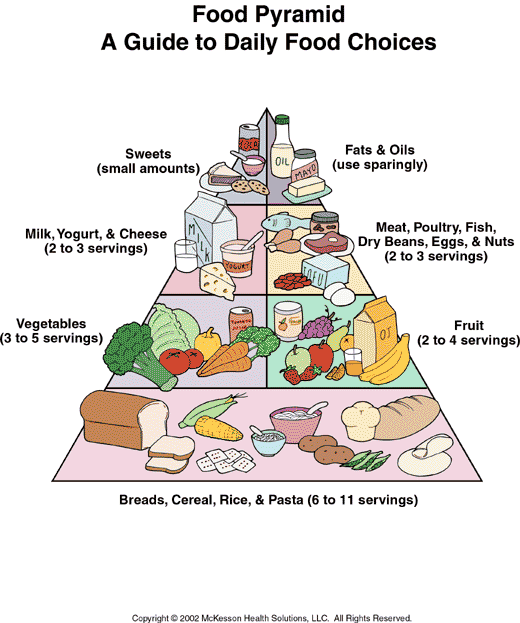 Food Pyramid, A Guide to Daily Food Choices: Illustration