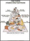Thumbnail image of: Food Pyramid, A Guide to Daily Food Choices: Illustration