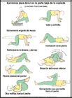 Thumbnail image of: Ejercicios para dolor en la parte baja de la espalda: ilustracin
